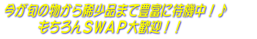 �����{�̕�����H���i�܂ŖL�x�ɑҋ@���I��